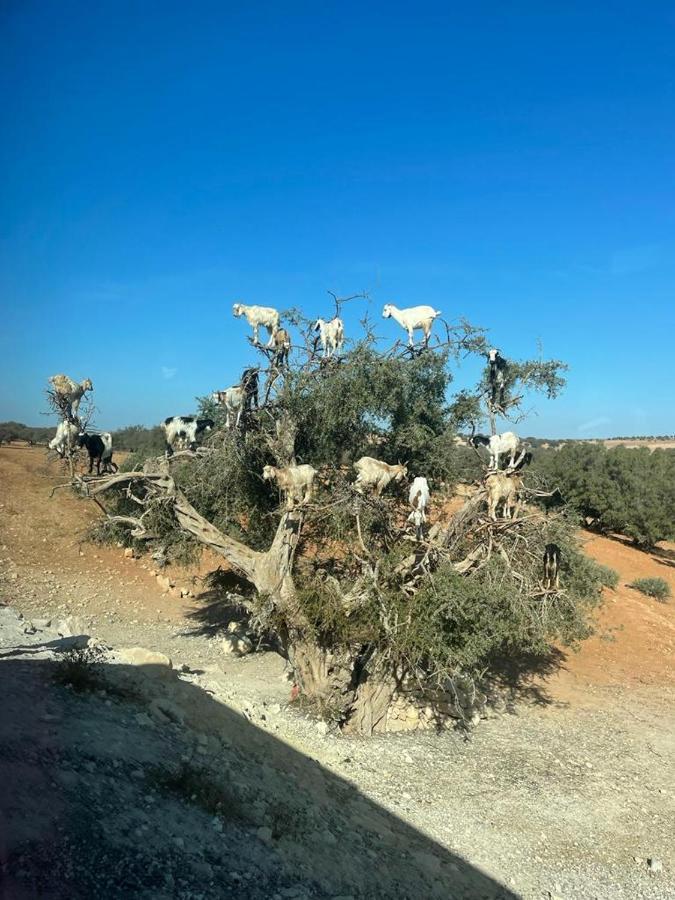 Riad Dar Karam Μαρακές Εξωτερικό φωτογραφία