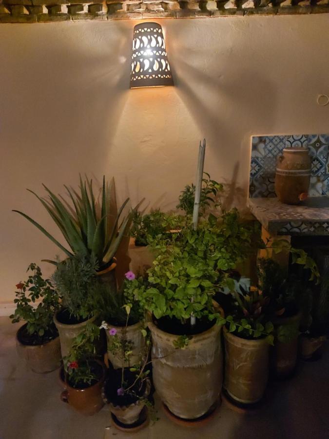 Riad Dar Karam Μαρακές Εξωτερικό φωτογραφία